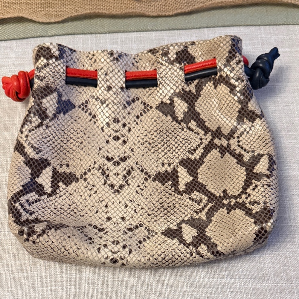 Elegant Clare V. Snakeskin Pattern Purse